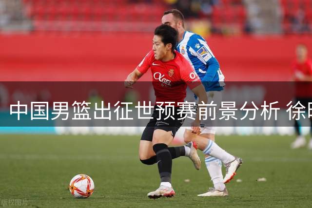 中国男篮出征世预赛前景分析 徐昕或赴美深造 辽宁队阵容调整