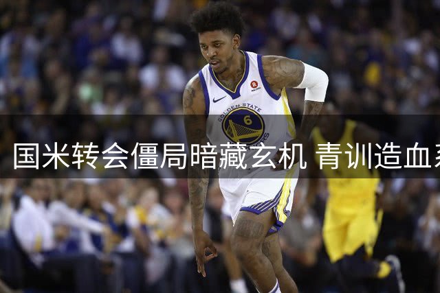 国米转会僵局暗藏玄机 青训造血系统已悄然升级
