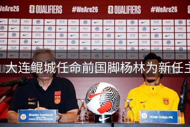 大连鲲城任命前国脚杨林为新任主教练